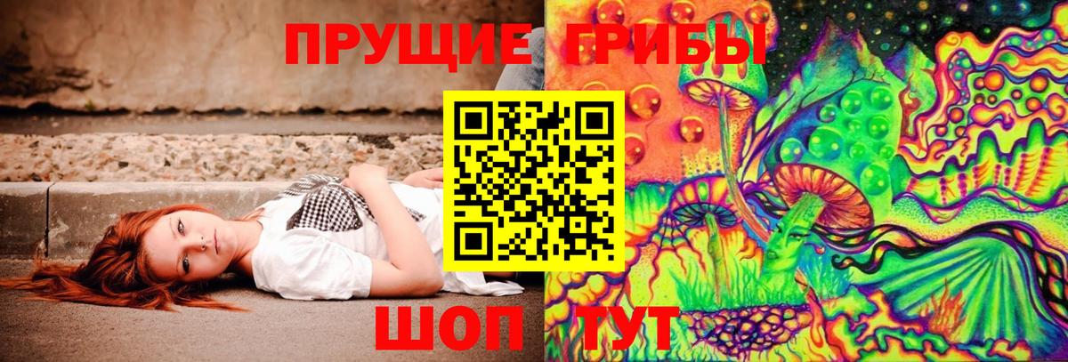Дюртюли  Псилоцибиновые грибы Psilocybe  Вход с VPN  Псилоцибиновые грибы мухоморы 
